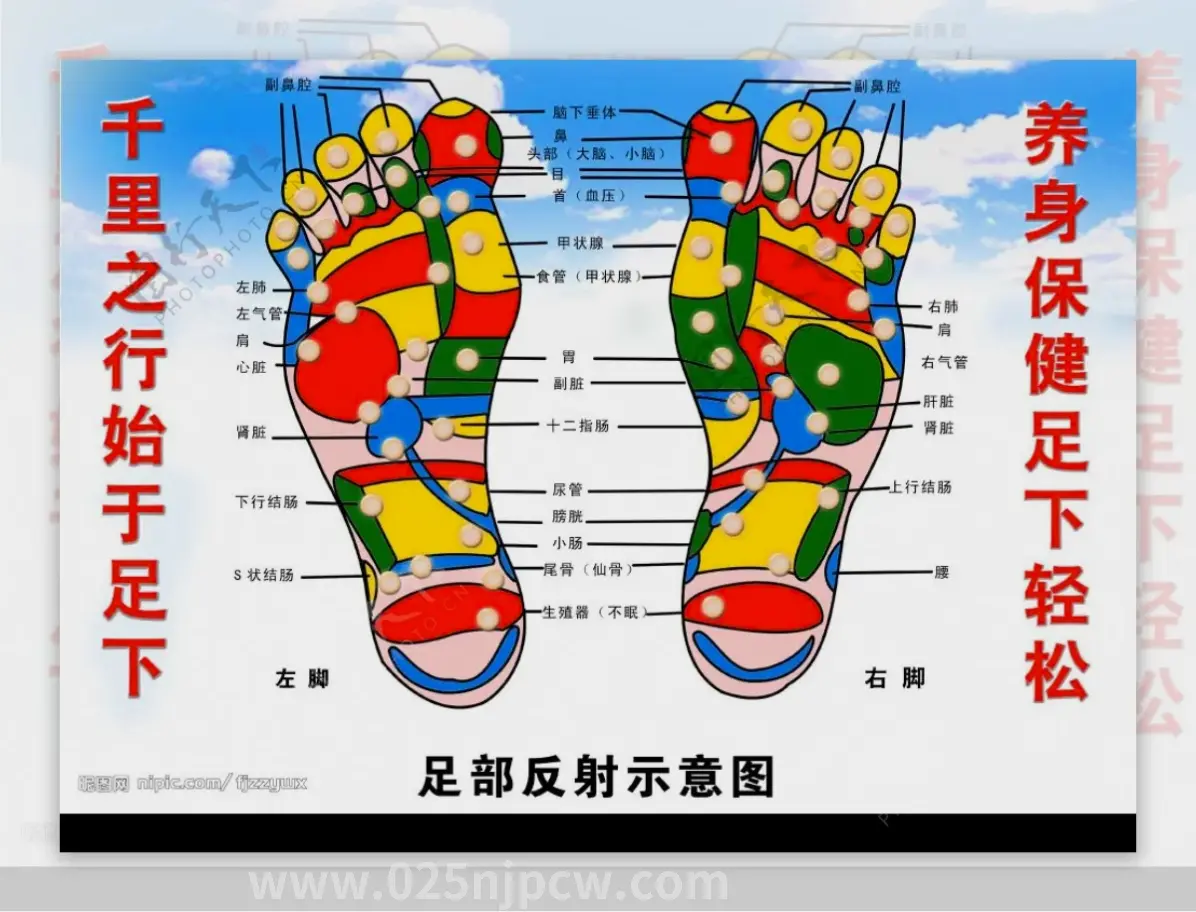 专业教程