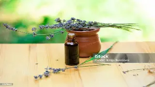 南京按摩市场风云变幻：价格战背后的真相与未来趋势