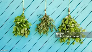 南京按摩店大PK：盲人推拿VS精油SPA，到底哪个更适合你？