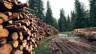 南京养生市场大洗牌？揭秘后疫情时代，身体自愈力才是硬道理！