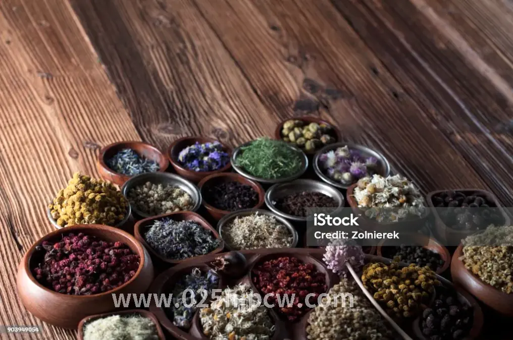 专业按摩教程, 肩颈放松, 腰背舒缓, 腿部放松, 经络疏通